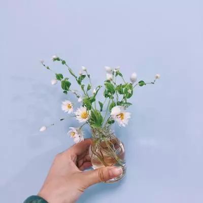 菲律宾央行：中东持续冲突推动油价和化肥价格大幅上涨。